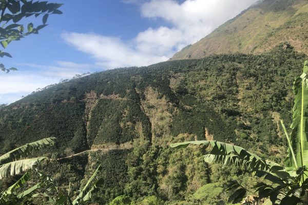 DIBOSCo – farma na Kostarice zapojená do projektu DIBOSCo